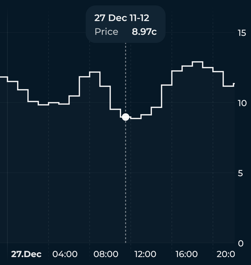 Beitrag zur Netzstabilisierung: Täglich schwanken die Strompreise